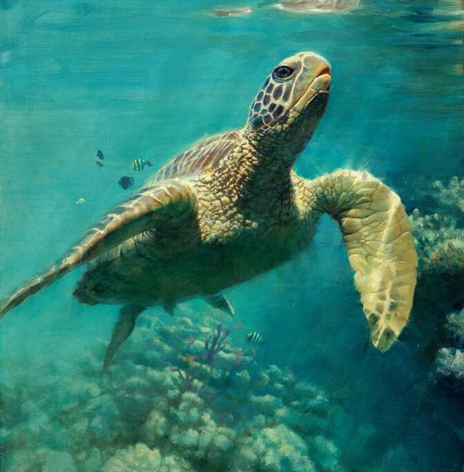 Honu