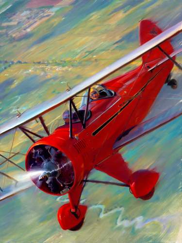 WACO Wonder